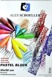 ALEX - ALEX PASTEL ART.FON BLK 35x50 15.Lİ 220GR ALX-851