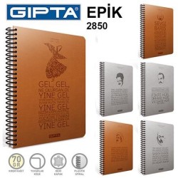GIPTA EPİK SP-120 YP.ÇİZ.SERT KPK.DEF. 17x24